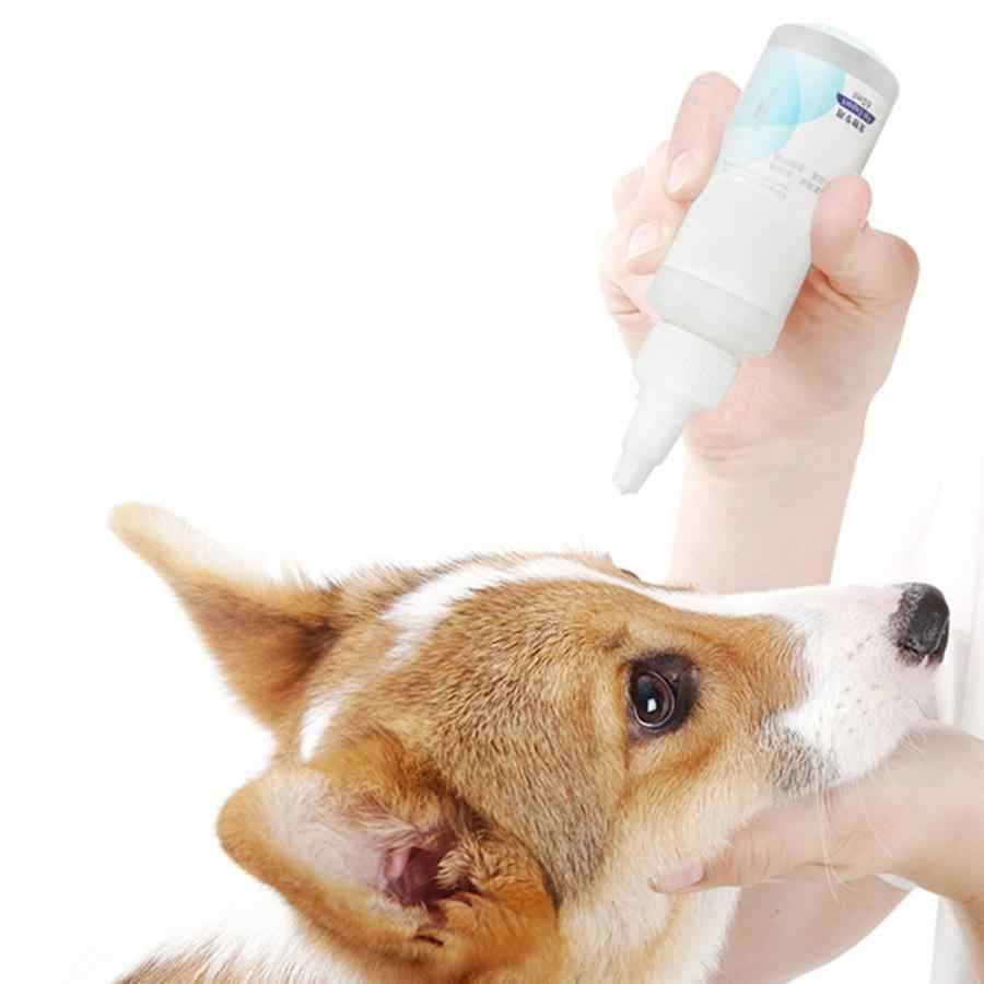 Read more about the article Dog Eye Wash