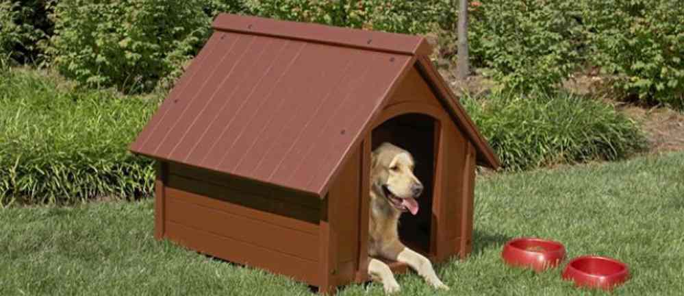 Read more about the article Heated & Insulated Dog House
