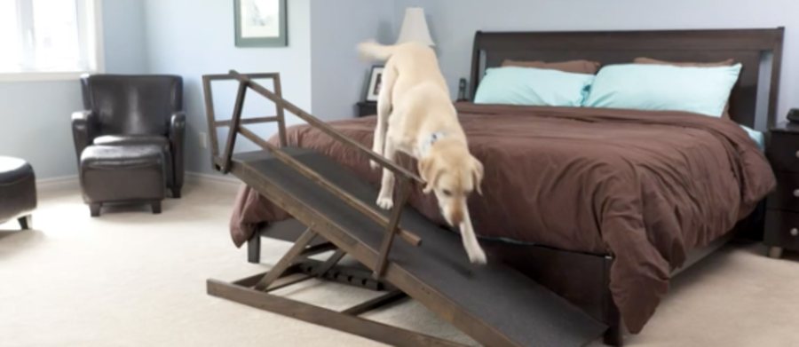 Read more about the article Dog Ramp for Bed