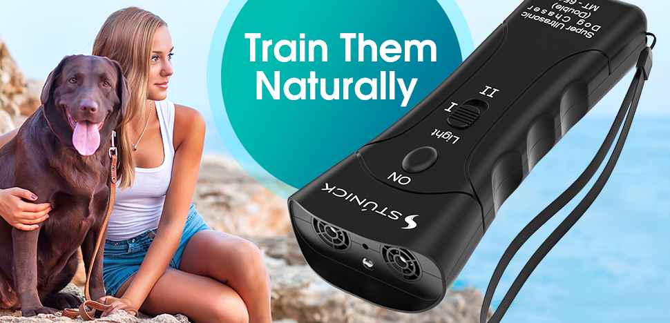 Read more about the article Dog Silencer & Bark Control