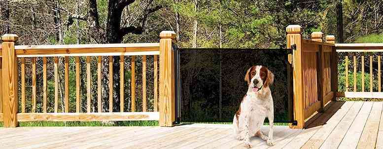 Read more about the article Retractable Dog Gate