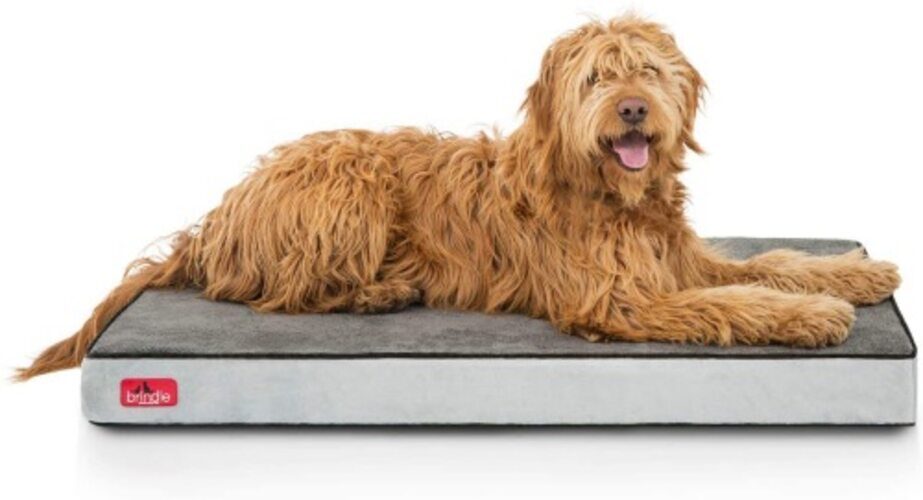 Brindle Memory Foam Dog Bed