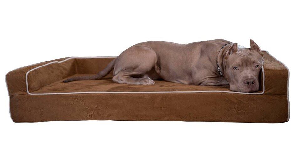 Bullybeds 3 Sided Bolster Orthopedic Dog Bed
