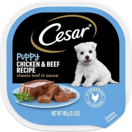 CESAR GOURMET, WET PUPPY FOOD