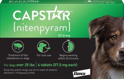 Capstar Flea Pills for Large Dogs