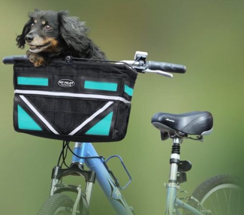 Dog Bike Carrier