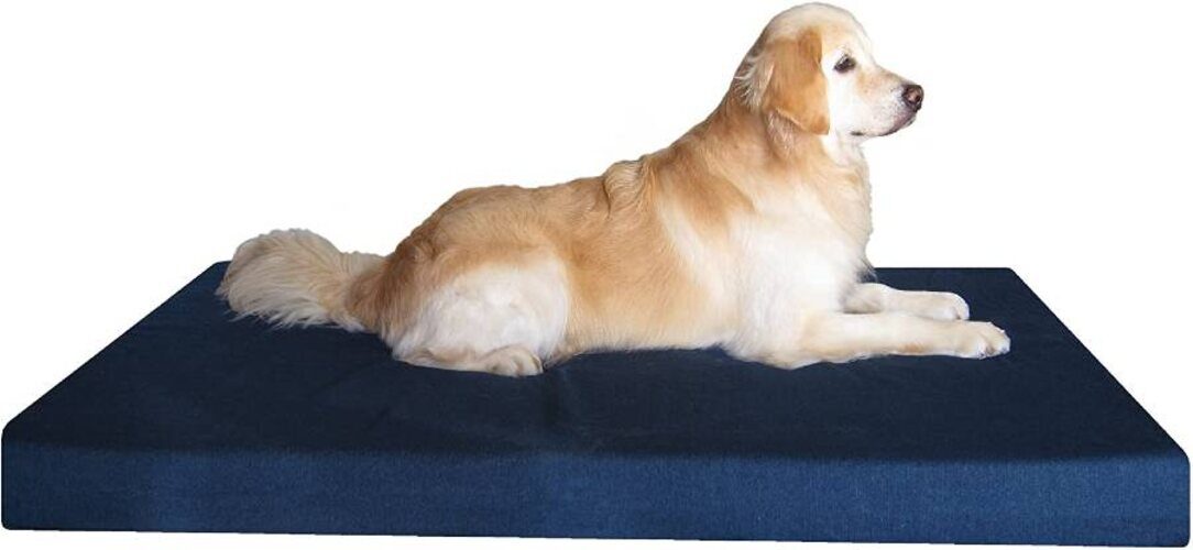 Dogbed4less Orthopedic dog bed large
