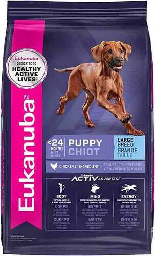 EUKANUBA Puppy Large Breed Food