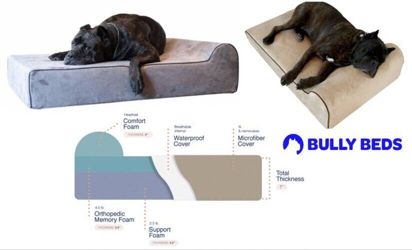 Extra Large Washable Waterproof Dog Bed