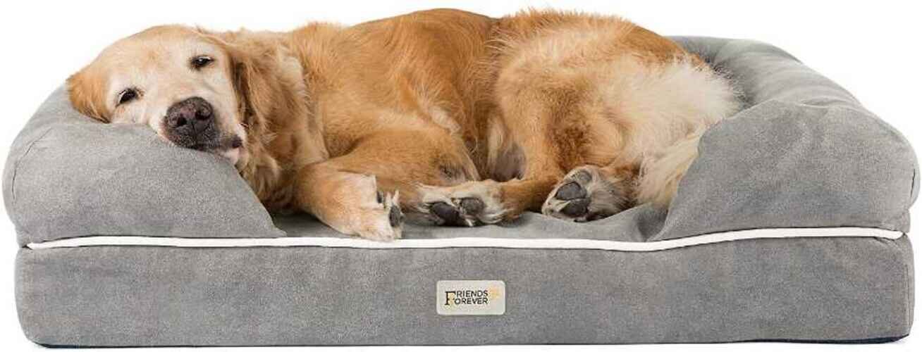 Friends Forever Orthopedic dog bed