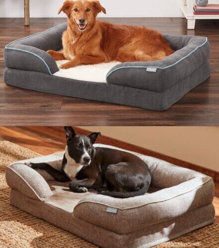 Frisco Plush Orthopedic Bolster Large Memory Foam Dog Bed