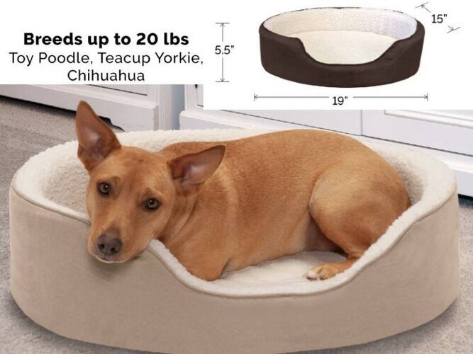 Furhaven Oval Sherpa Suede Orthopedic Dog Bed For Small Breeds