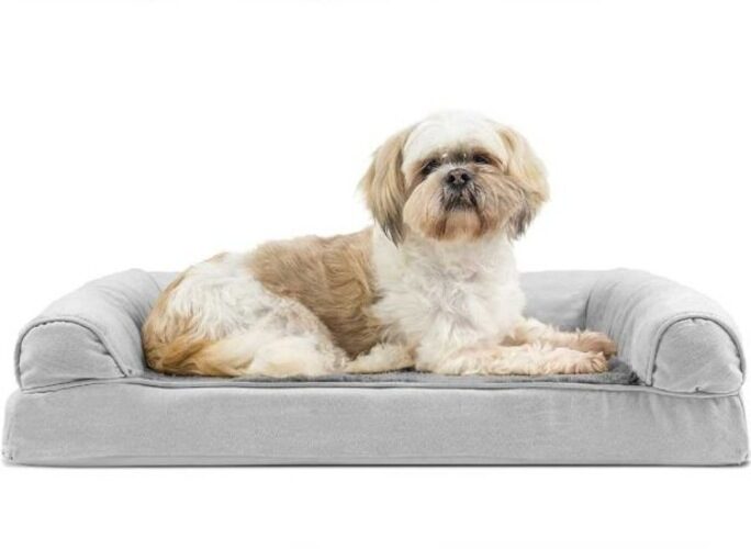 Furhaven orthopedic Dog Bed