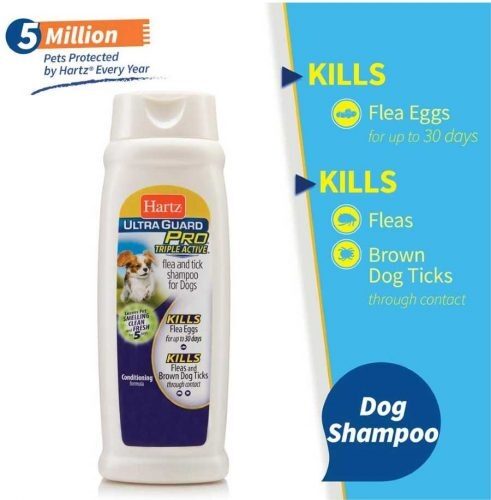 Hartz medicated dog shampoo