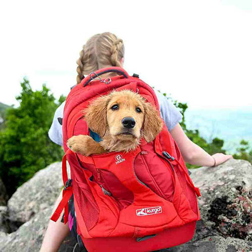 Kurgo-Red-Dog-Carrier-Backpack