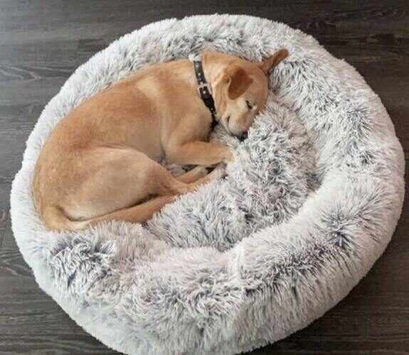 Mr. Peanuts OrthoPlush Orthopedic Dog Bed