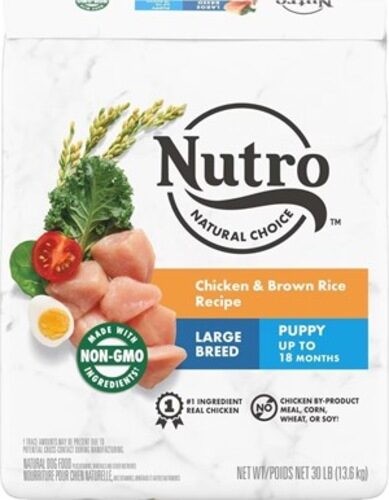 NUTRO, Large Breed Puppy Food