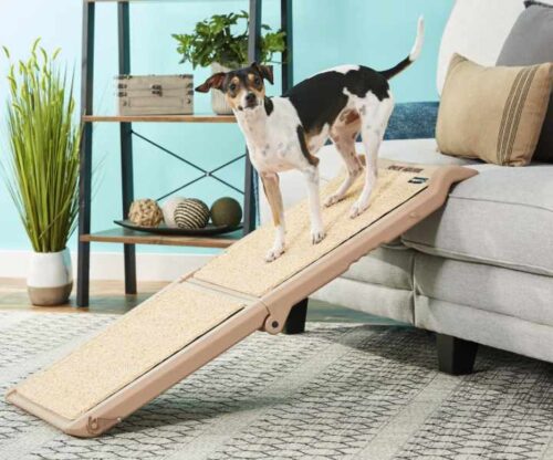 Pet Gear Short Bi Fold Dog Ramp