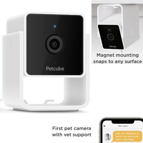 Petcube Cam HD Dog Monitor Camera With Vet Chat