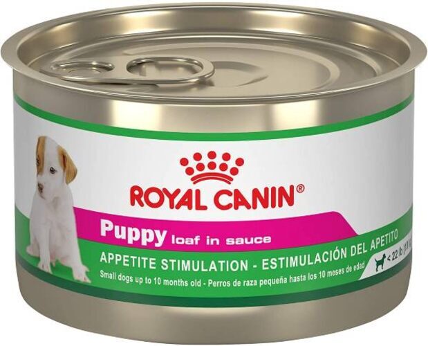 Royal Canin Small Breed Wet Puppy Food