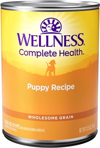 WELLNESS COMPLETE HEALTH, JUST FOR PUPPY