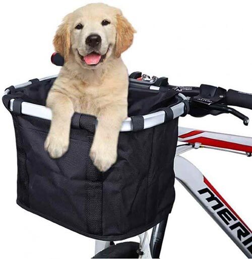 bike-carrier-for-dog